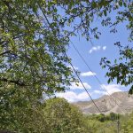 تور ویژه بانوان سیمین‌دشت و خمده