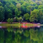 تور سد و جنگل لفور