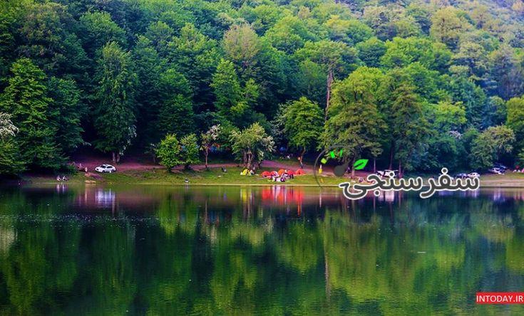 تور سد و جنگل لفور