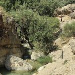 تور گروهی تنگ گمبیل کهکران