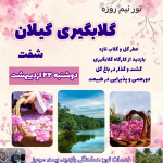 تور گلابگیری گیلان شفت