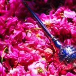 تور گلابگیری کاشان و باغ فین (فولبرد)