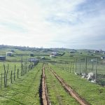 مهدی حقی لیدر محلی در سوباتان