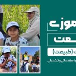 تور از شیراز