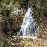 طه درویشی ماهانی لیدر محلی کوهنوردی و طبیعت گردی در کرمان