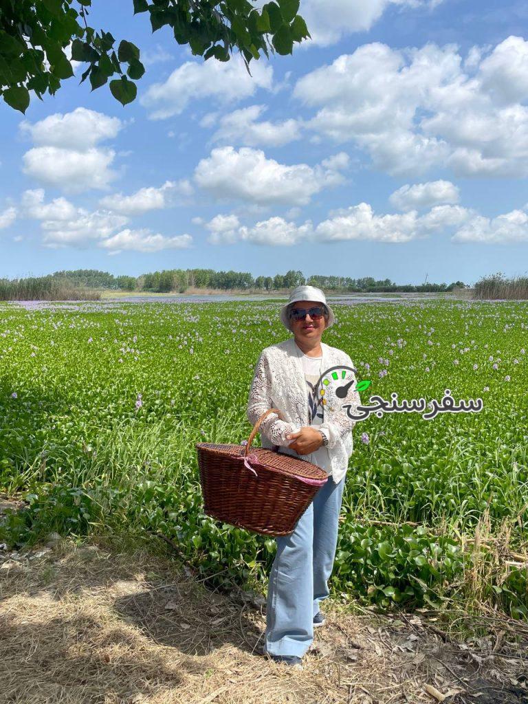 فریبا احمدی لیدر و مترجم زبان انگلیسی در قائم شهر مازندران