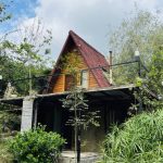 میثم حاجی پور اقامتگاه کلبه های چوبی جنگلی در گیلان