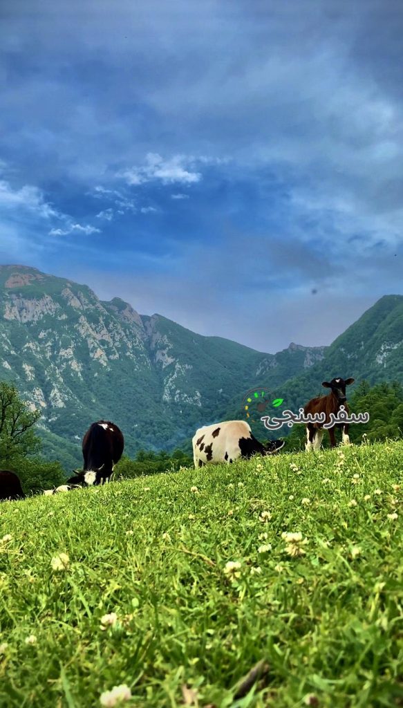 حسین هلاکو لیدر محلی مینودست گلستان