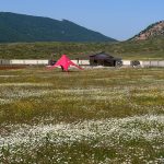 علی خطابی اقامتگاه پدرسالار‌اوپرت در اوپرت سمنان