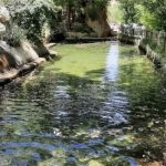 تور یک روزه تنگه مروارید