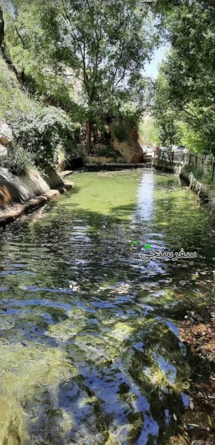 تور یک روزه تنگه مروارید