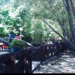 تور یک روزه تنگه مروارید