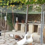 اقامتگاه بومگردی تاریشا در خوزستان/