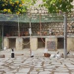 اقامتگاه بومگردی تاریشا در خوزستان/