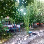 باغ رستوران شب های گلدشت