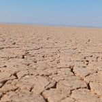 احمد نژادهادی راهنما راننده (درایورگاید) در مشهد