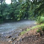 تور آشنایی با تایچی و چی گونگ در فضایی زیبا