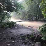 تور آشنایی با تایچی و چی گونگ در فضایی زیبا