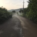 تور آشنایی با تایچی و چی گونگ در فضایی زیبا