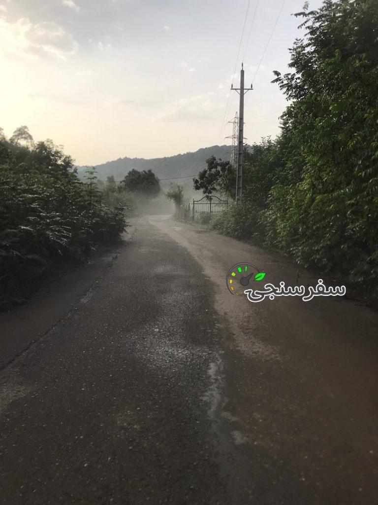 تور آشنایی با تایچی و چی گونگ در فضایی زیبا