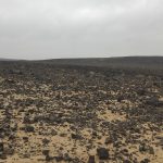 احمد نژادهادی راهنما راننده (درایورگاید) در مشهد