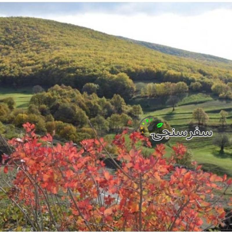 تور طبیعت گردی جنگل های ارسباران در آذربایجان شرقی