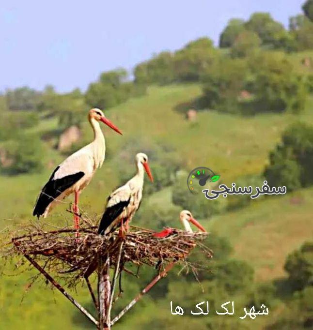 تور کردستان