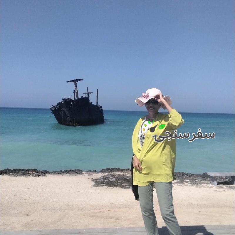 آراسته اطهری تور لیدر و مترجم دو زبانه انگلیسی و آلمانی مستقر در دو استان تهران و هرمزگان خصوصا جزیره کیش