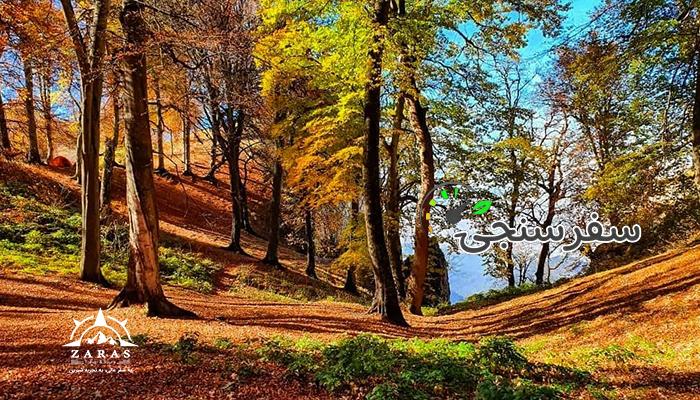 پیمایش جنگل ابر تا سرخدار | 2.5 روزه