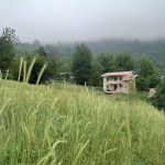 ویلا چهارخوابه تراس دار جنگلی در تالش گیلان