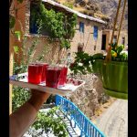 اقامتگاه ژین در روستای دولار سنندج/