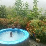 مسعود رمضانی اقامتگاه ژاورود در سنندج روستای آویهنگ/