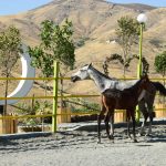 اقبال میهمی مجموعه تفریحی، ورزشی، گردشگری و رستوران شاسوار در سنندج/