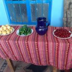 مسعود گلی اقامتگاه بومگردی ژیار در روستای گلین سنندج/