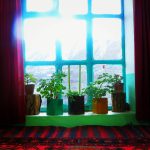 اقامتگاه ژیوان در روستای دولاب سنندج/