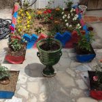 یونس امجدیان اقامتگاه بومگردی قصلان در شهر قروه کردستان/