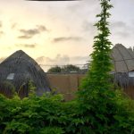 اقامتگاه بومگردی ترانگ در چابهار روستای نوبندیان/