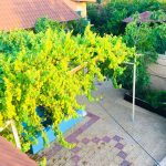 اقامتگاه بومگردی رحیلا در استان گلستان/