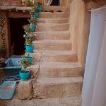 اقامتگاه بومگردی آوا در روستای کریک یاسوج/