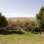 دهکده گردشگری روح الله پوش در شهرستان چرام شهر سرفاریاب