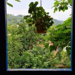 اقامتگاه بومگردی گوهران در گیلان/