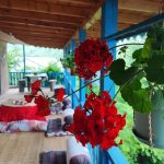 اقامتگاه بومگردی گوهران در گیلان/