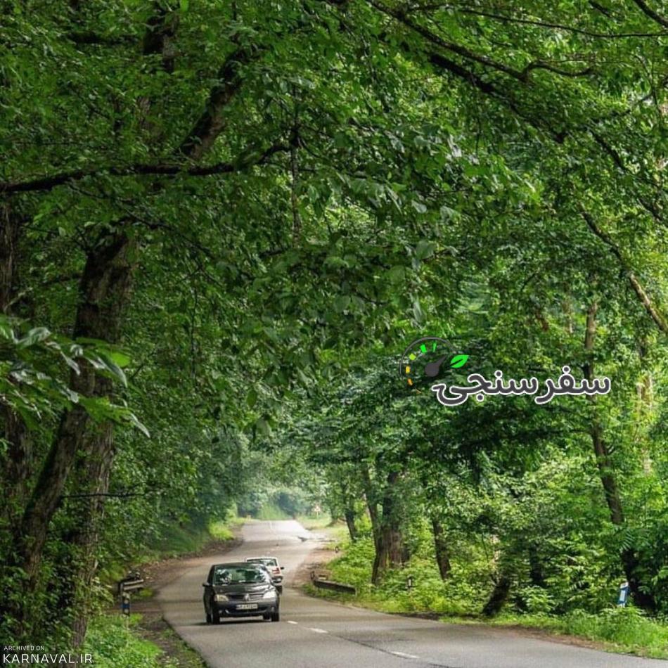 تور آبگرم فلکده جنگل سه هزار ساحل خزر -گروه طبیعت گردی خانواده سبز