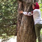 پیمایش جنگل ابر تا سرخدار | 2.5 روزه