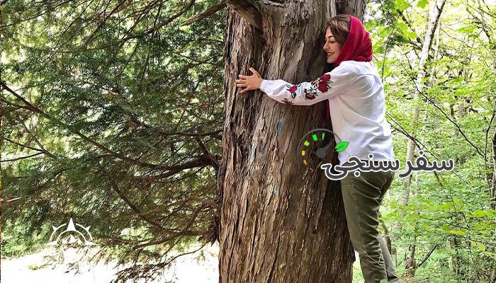 پیمایش جنگل ابر تا سرخدار | 2.5 روزه