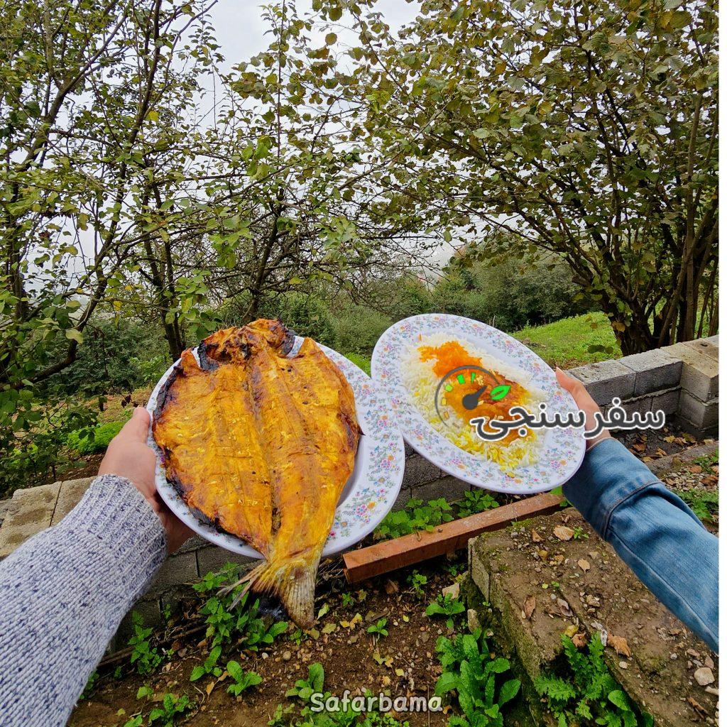 طبیعت بکر جنگل های دوهزار با اقامتگاه جذاب کوهستان در تنکابن