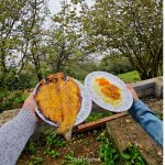 طبیعت بکر جنگل های دوهزار با اقامتگاه جذاب کوهستان در تنکابن