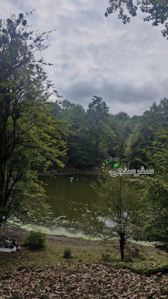 تور مرداب هسل از تهران