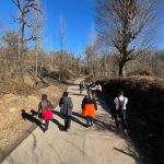 تور کلبه جنگلی و آبگرم طبیعی و آبشار گروه بالانس