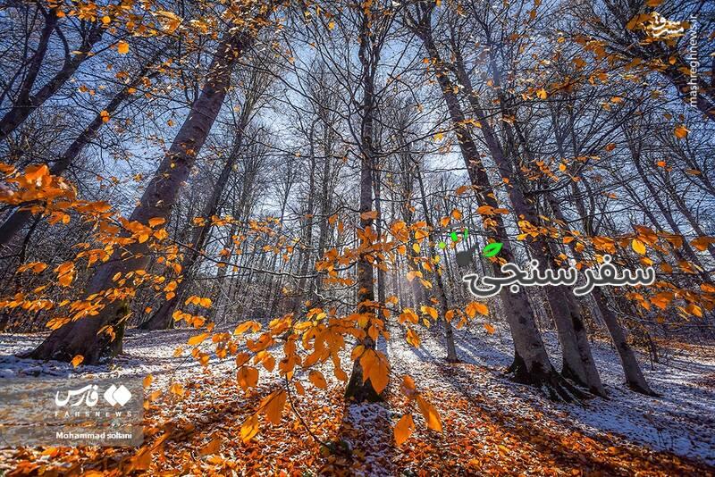 تور ریلی شمال از شیراز